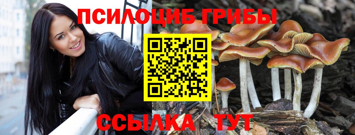 Псилоцибиновые грибы ЛСД  Галлюциногенные грибы GOLDEN TEACHER  Симферополь  Вход с VPN 